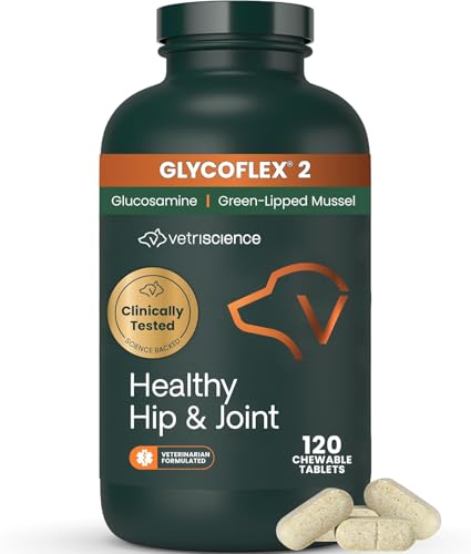 VetriScience Healthy Hip & Joint Chewable Tablets, GlycoFlex Glucosamine and Green-Lipped Mussel Joint Support Supplement for Dogs, Promote Mobility and Protect Joints, Chicken, 120 Count