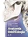Anatomia Aplicada à Odontologia