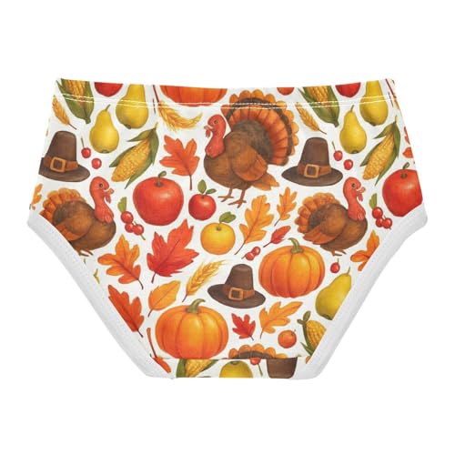 Joisal Cotton Toddler Underwear Floral Colorful Thanksgiving Turkeys Food Girl Panties Cute Colorful Briefs Kids Undies 2t2