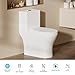 CANEST One Piece Toilet with ADA Comfort Chair Height 17