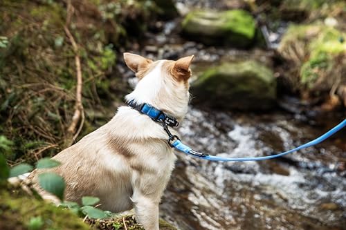 Mountain Paws Waterproof Nylon Adjustable Dog Collar, Sizes Small to Extra Large, Soft PVC Coating, Anti-Odour and Wipe Clean - Image 2