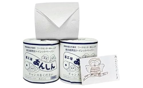 トイレットペーパー定期便「A」[障がい者支援の返礼品] 雑貨 日用品 生活支援 サポート