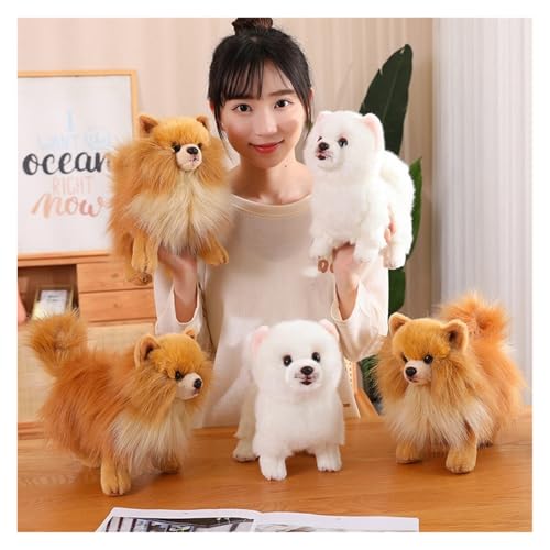 KUKUShining Soft Pomeranian Hund Kuscheltier, 23CM Niedliches Welpen Plüschtier Stofftier Kinder Ideal für gemütliches Spielen und Schlafzimmerdekoratio(WhitePome)