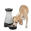 Dog Water Fountain