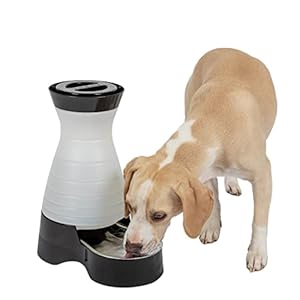 PetSafe-Healthy-Pet-Water-Station-Medium-128-oz-Capacity-Gravity-Pet-Water-Fountain-Automatic-Cat-Water-Fountain-Dog-Water-Fountain-Water-Dispenser-Removable-Stainless-Steel-Bowl-Included Dog Water Fountain