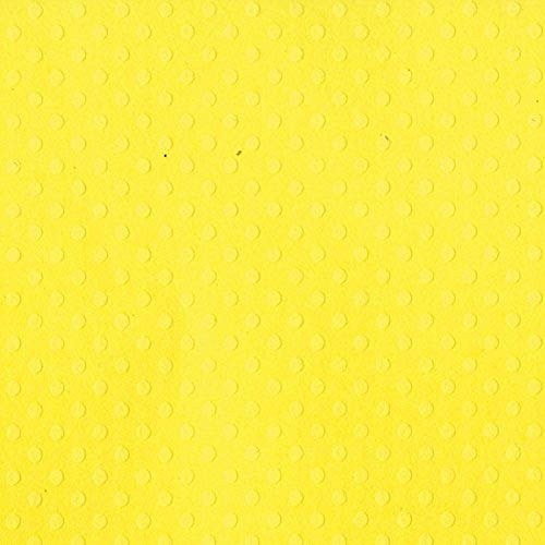 Bazzill Dotted Swiss Cardstock 12 x 12