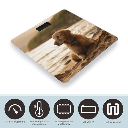 Báscula Digital de Baño Retriever de Vidrio Templado miniatura 3