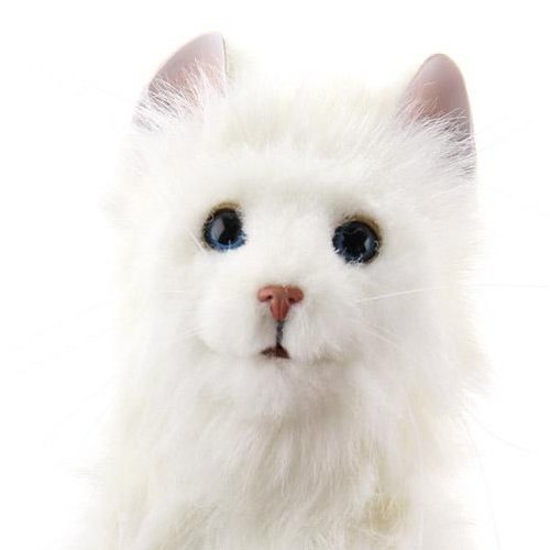 Amazon | 夢ねこ プレミアム | 電動ロボット | おもちゃ