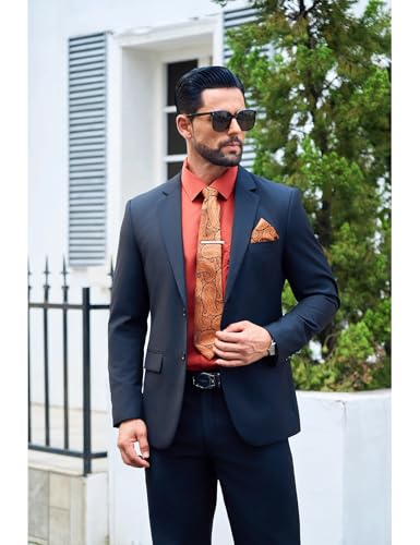 Barry.Wang Solid Colors Mens Dress Shirt and Tie Set Formal Business Wedding Shirts Long Sleeve Button Down Casual 6PCS4