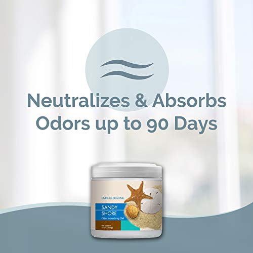 SMELLS BEGONE Air Freshener Odor Absorber Gel - 15 oz, Pack of 2 - Absorbs and Eliminates Odor in Pet Areas, Bathrooms, Cars, & Boats - Made with Essential Oils - Sandy Shore Scent