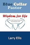 Blue Collar Pastor: Wisdom for Life From the Crazy Chronicles of a Pastor's Kid (Abundant Life)