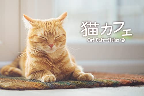 Miniatura 6 de Cat Cafe Calming Karinto Healing Jazz BGM "15 canciones que quiero escuchar con gatos"