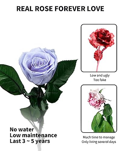 Image of Blue Flowers for Delivery Prime, Preserved Blue Roses Flower Gifts for Women, Real Roses Single Rose Gifts for Her, Mom Birthday Gifts from Daughter, Solid Lilac Roses