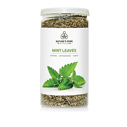 Image of Nature's Park Herb - Dried Mint Leaves- 100% Natural & Sun Dried (Pudina Patta) Pet Jar (35gm)