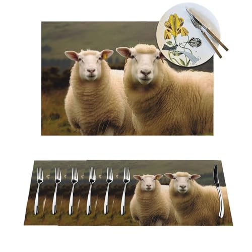 Sets de table faciles à nettoyer - Dites adieu aux taches sur votre table