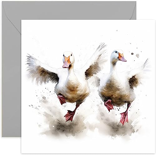 Old English Co. Watercolor Robin Greeting Card For Birthday - Cute Birthday Card For Mom, Nan, Her - Wildlife Art Card To Think Of You, Thanks, Just Because | Blank Inside Envelope