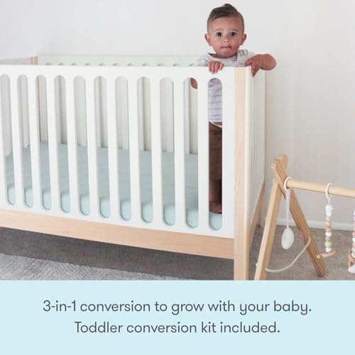Newton Baby Galileo Standard Crib, Solid Beech Wood in Natural/Dove White 2-Tone Color, 3-in-1 Convertible Crib with Toddler Bed Conversion Kit, Ultra-Safe Non-Toxic Finish