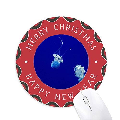 CmNQȊw͎R̎ʐ^ ~`S̃NX}X}EXpbh