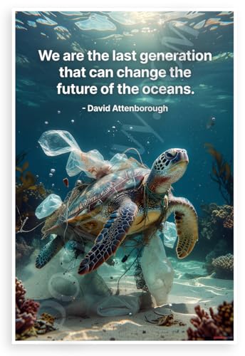 Poster David Attenborough tortue de mer de 30,5 x 45,7 cm fabriqué aux États-Unis