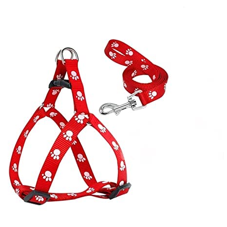 Woofy Adjustable Soft Nylon Paw Printed Strip Harness & Leash Set for All Breeds Dogs, Cat and Puppies - Red (B0B34H8N4Z) Amazon Price History, Amazon Price Tracker