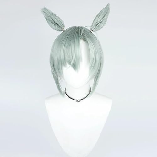 ZCEXJC RXvEBbO wig cosplay L̃p[eB[ł (ECbO)
