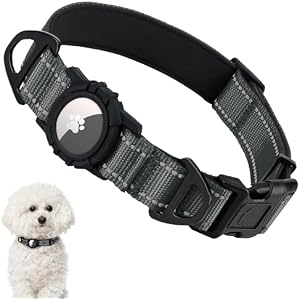 Taglory Reflective AirTag Dog Collar with Waterproof Airtag Holder, Dual D-Rings, Durable Safety Buckle, Adjustable Soft Padded for Small Dogs Night Walking, Outdoor Tracking, Grey, S