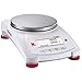 30429853 - Electronic Balance External 4200GX0.1 G - Electronic Balance External 4200GX0.1 G - Each