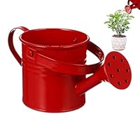 Kids Watering Can - Galvanized Iron Plants Watering Kettle | Candy Color Flower Container Ornament with Handle | Cute Flower Pot Photography Props for Indoor Outdoor Plants