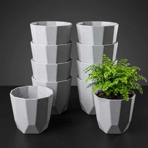Image of YUCCABE ITALIA SHERA Hexa Plastic Planter Pot for Plants Decorative Flower Pot UV Protected Lightweight Indoor Outdoor Gamla for Home Decor, Balcony, Garden & Living Room (Stone Grey, 8 INCH - 12 Pcs)