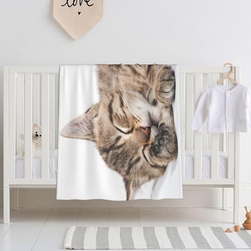 xr[ѕz Lzc r[uuPbg |ѕz  uPbg ^IPbg ʋC q ۈ牀 [΍ GARpi lGʗp ?蕨 150X200cm