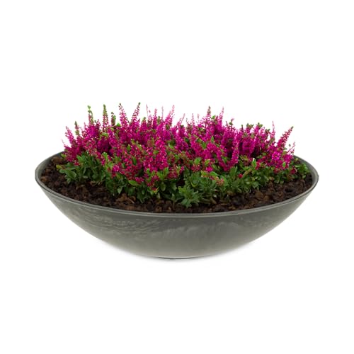 matches21 HOME & HOBBY Wetterfeste Pflanzschale für draussen in 28 cm - schwarz marmoriert als Blumenschale - Dekoschale