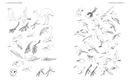 Guia completo para identificação das aves do Brasil Vol. 1