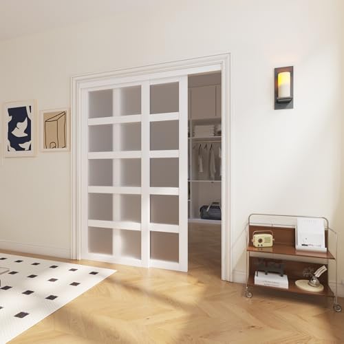 SOLRIG Closet Door, 5-Lite Frosted Glass Pantry Door, 60"(Double 30")