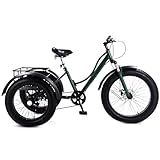 DHsdlpLU Veicolo Elettrico a Tre Ruote Bicicletta Elettrica da Carico per Adulti capacità di Carico 200 kg Altezza Regolabile con Carrello della Spesa per Le commissioni Green