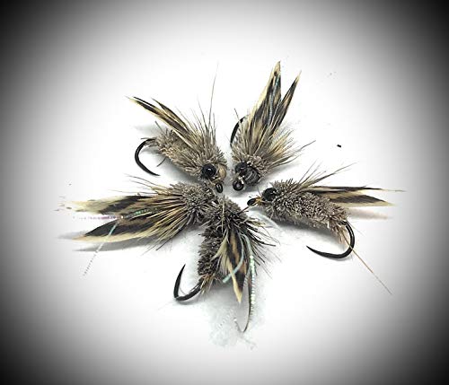 Massimo Clini Cicala Variant