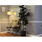 [Upgraded] LED Floor Lamp for Living Room, 3 Color Temperature Floor Lamp with Foot Switch Modern Standing Lamp Tall Pole Floor Reading Lamp for Bedroom, Study Room, Office, 9W Bulb Included, Black - Image 5