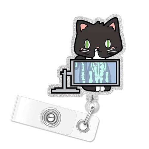 Katzen junior futter test