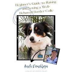 Beginner's Guide to Raising and Loving a Well-Behaved Border Collie Audiolibro Por Andi Dencklau arte de portada