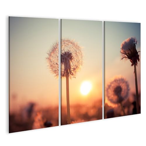 Tableau sur toile pissenlit islandburner : la solution pour réveiller un mur de salon vide