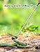 LURMMUE Snake Hook 40