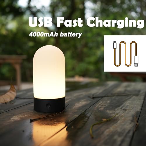 Image of WEILAILUX Rechargeable Waterproof Shower Lamp, 2700K Warm LED (Wood Grain)