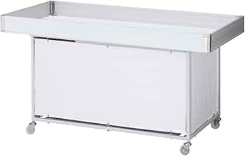 41snOVFIPLL._AC_UF350,