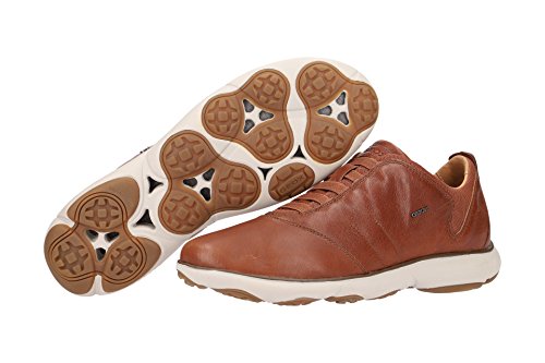 Image of Geox Men's Mnebula17 Fashion Sneaker | Casual Shoes