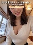 雪で電車が止まって、駅前の宿へ。 ～一部屋しか空いてない～ 集痴舎