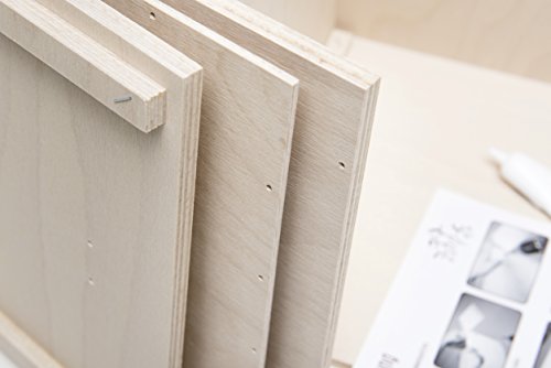 Cajon Bausatz mit Snare und Anleitung für schnellen Einstieg