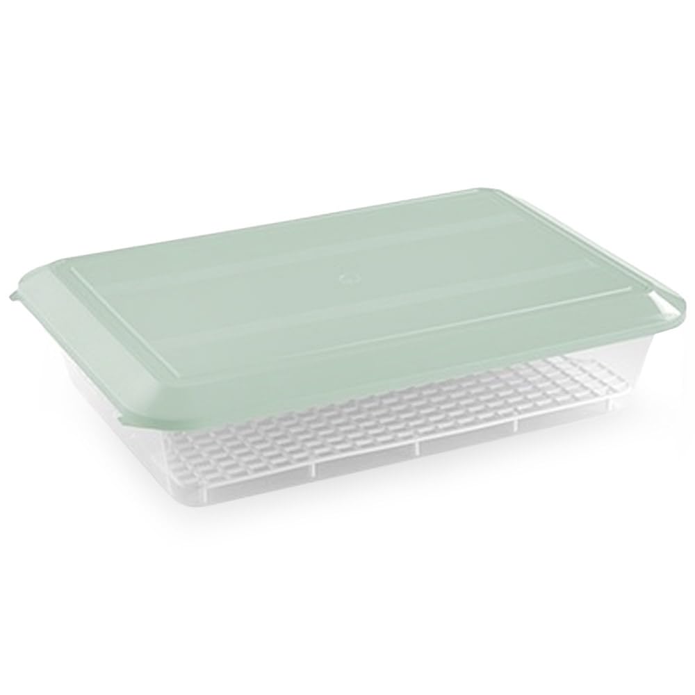 Pack 12 Bandejas Descongelar Alimentos 4,2L Tapa Verde y Rejilla Antigoteo | 36 x 24 x 8,5cm. Sin BPA. Recipiente para descongelación más higiénica. Ideal cocinas, restaurantes, hostelería y cátering