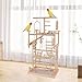 Bothyi Pet Parrot Playstand,Parrot Playground Climb Playing Gym Toy,Playpen Bird Play Stand,Wood Bird Perches Stand for Budgie Lovebird