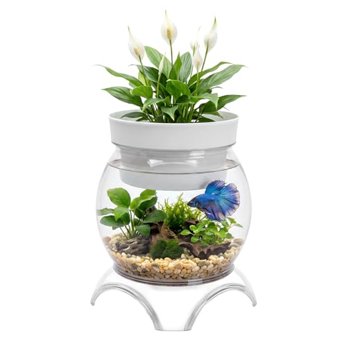 Kcgani 1 Gallon PET Aquaponic Fish Tank Fish Bowl Aquaponic Betta Fish Tank Clear Aquarium for Betta Fish Reptiles Succulents Flower Vase Betta Fish Centerpiece Present for Home Office Desktop Decors