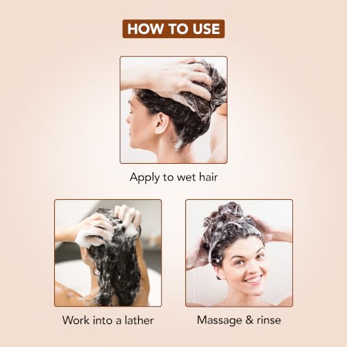 Image of Botanic Hearth Argan Shampoo, Hydrating & Volumizing, Sulfate & Paraben Free, All Hair Types & Color Treated Hair, Men and Women 16 fl oz