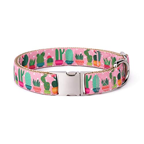 WAAAG Pet Supplies, (Cactus and Succulents) Cat Collar, Dog Collar, Small Dog Collar, Medium Dog Collar, Large Dog Collar (Pink Cactus Collar, M)